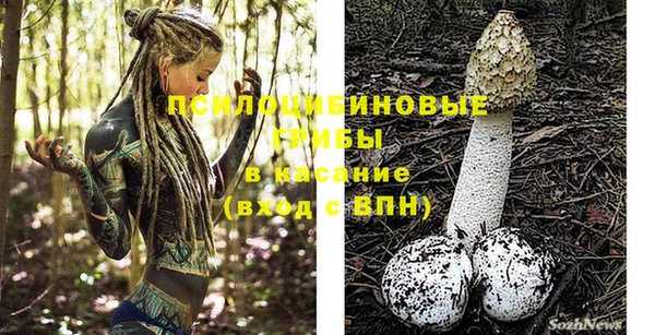 кокс Осинники
