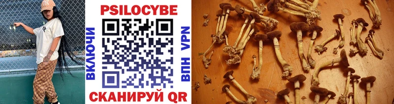 Псилоцибиновые грибы Magic Shrooms  Красный Сулин 